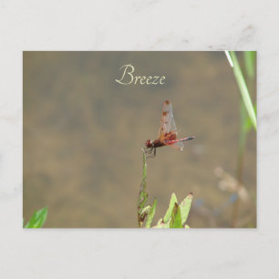 Carte Postale Note Botanique Personnalisée Vintage Red Dragonfly