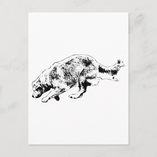 Carte Postale Note rapide : Golden on the Go (Devant)