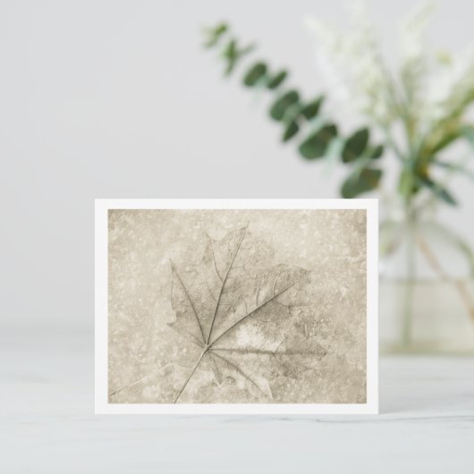 Carte Postale notes de beauté (Debout devant)