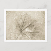 Carte Postale notes de beauté (Devant)