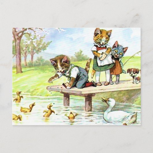Carte Postale Notes pour les canards (Devant)