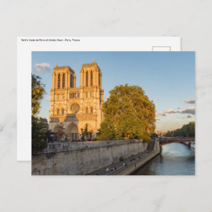 Carte Postale Notre Dame de Paris à l'Heure d'or - Paris, France