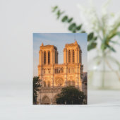 Carte Postale Notre Dame de Paris à l'heure dorée - Paris, Franc (Debout devant)