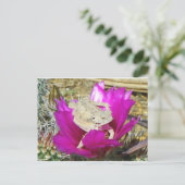 Carte Postale Notre Jardin Cactus Fleurit Un Lizard (Debout devant)