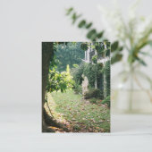 Carte postale Nottoway Plantation (Debout devant)