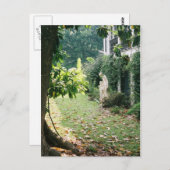 Carte postale Nottoway Plantation (Devant / Derrière)