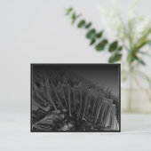 Carte Postale nouen 2004 (Debout devant)