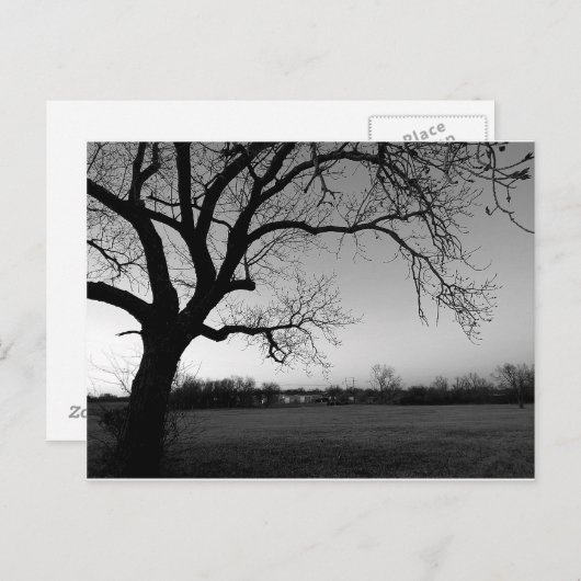 Carte postale noueuse d'arbre (Devant / Derrière)