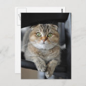 Carte Postale Nouilles (Devant / Derrière)