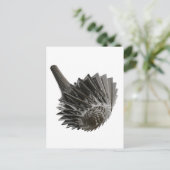 Carte Postale noun2009 (Debout devant)