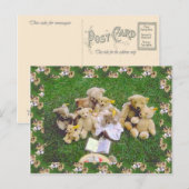 Carte Postale Nounours, rassemblement de famille (Devant / Derrière)