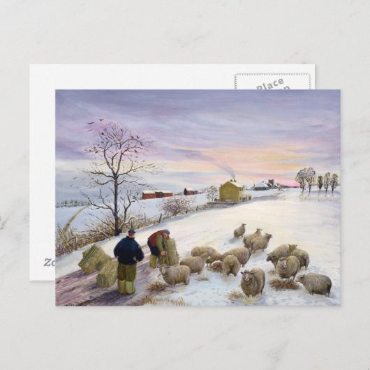 Carte Postale Nourrir des moutons en hiver (Devant / Derrière)