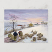 Carte Postale Nourrir des moutons en hiver (Devant)