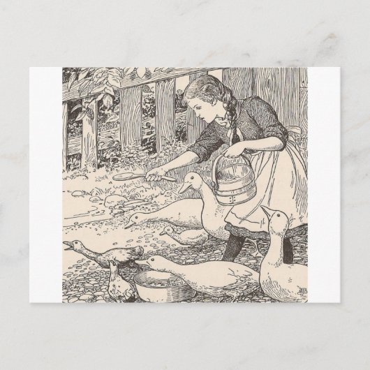 Carte Postale Nourrir Les Canards (Devant)