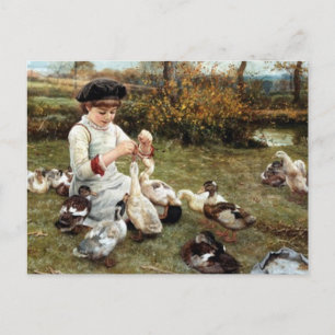 Carte Postale Nourrir les canards