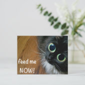 Carte Postale nourris-moi MAINTENANT ! (Debout devant)