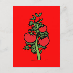 Carte postale-Nourriture/Boisson-24