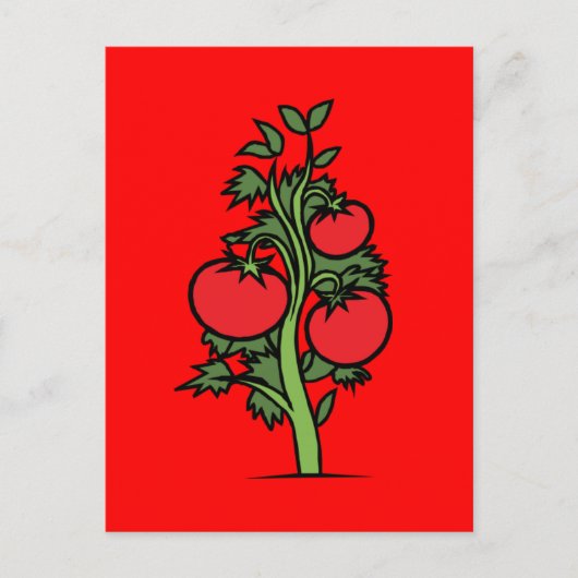 Carte postale-Nourriture/Boisson-24 (Devant)