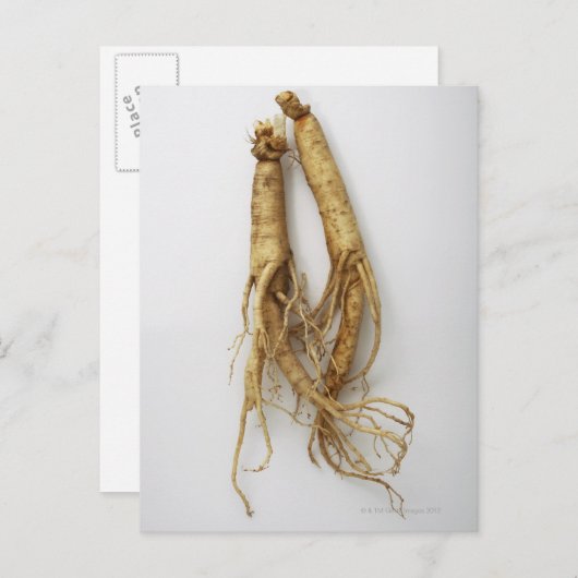Carte Postale nourriture coréenne, ginseng (Devant / Derrière)