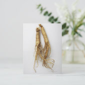 Carte Postale nourriture coréenne, ginseng (Debout devant)