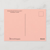 Carte Postale Nourriture de colibri vert sur une fleur orange (Dos)