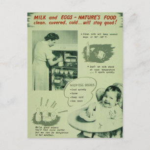 Carte Postale Nourriture de la nature - Vintage