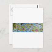 CARTE POSTALE NOURRITURE MEXICAINE (Devant / Derrière)