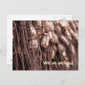 Carte postale Nous avons déménagé filet de pêche (Devant / Derrière)