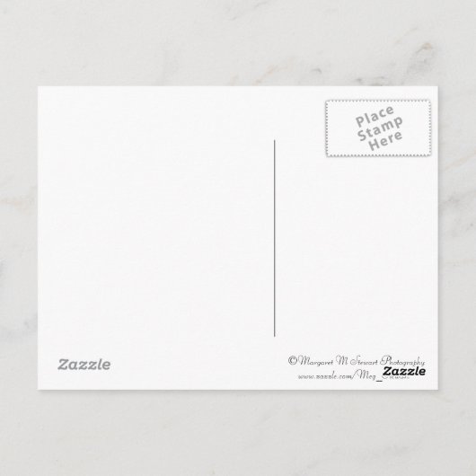 Carte postale Nous Le Peuple (Dos)