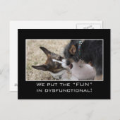 Carte Postale Nous mettons vraiment le "plaisir" en dysfonctionn (Devant / Derrière)