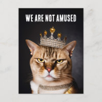 Nous Ne Sommes Pas Amusés À Porter Un Chat Grumpy 