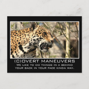 Carte Postale Nous ne vous cacherions jamais rien