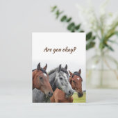 Carte Postale Nous pensons à vous Chevaux pour savoir que vous a (Debout devant)
