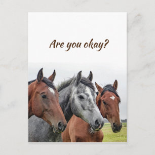 Carte Postale Nous pensons à vous Chevaux pour savoir que vous a