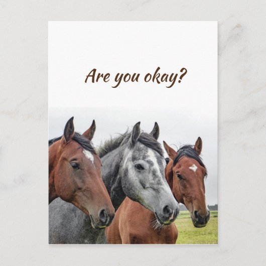 Carte Postale Nous pensons à vous Chevaux pour savoir que vous a (Devant)