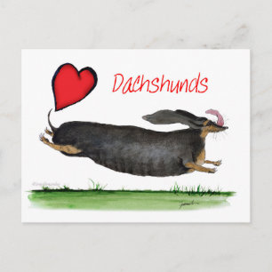 Carte Postale nous recevons des dachshunds de Tony Fernandes