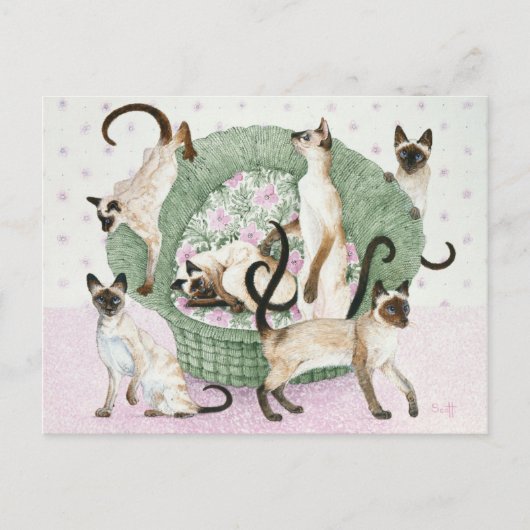 Carte Postale Nous sommes Siamais si vous vous plaît (Devant)