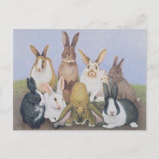 Carte Postale Nous sommes tous des oreilles (Devant)