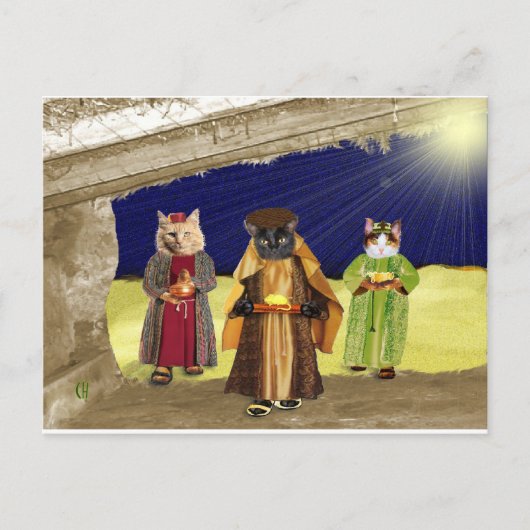 Carte Postale Nous trois chats (Devant)