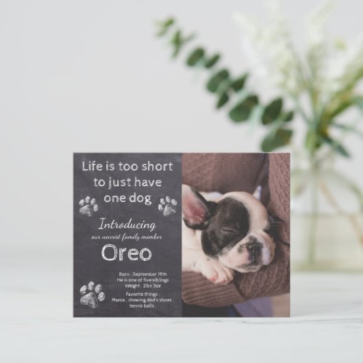 Carte Postale Nouveau Chien - Chien Photo Chalkboard Faire-part  (Debout devant)
