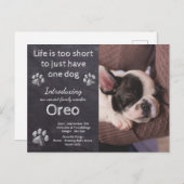 Carte Postale Nouveau Chien - Chien Photo Chalkboard Faire-part  (Devant / Derrière)