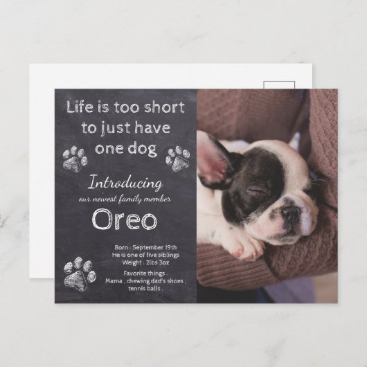 Carte Postale Nouveau Chien - Chien Photo Chalkboard Faire-part  (Devant / Derrière)