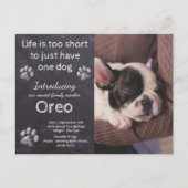 Carte Postale Nouveau Chien - Chien Photo Chalkboard Faire-part  (Devant)