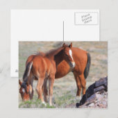 Carte Postale Nouveau départ (Devant / Derrière)