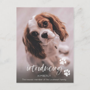 Carte Postale Nouveau Faire-part de chiot, adoption de chien adu