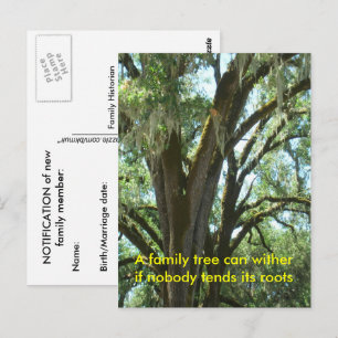 Carte postale - Nouveau membre de famille