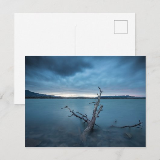 Carte Postale Nouveau-Mexique (Devant / Derrière)