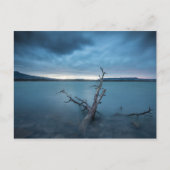 Carte Postale Nouveau-Mexique (Devant)