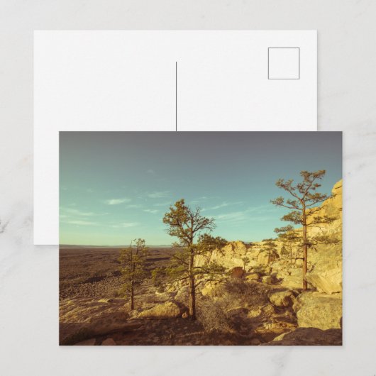 Carte Postale Nouveau-Mexique (Devant / Derrière)