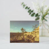 Carte Postale Nouveau-Mexique (Debout devant)